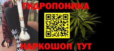 молекула духа Заводоуковск